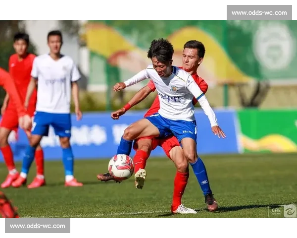 热血沸腾!国家队积分榜硝烟弥漫,哪支队伍将脱颖而出